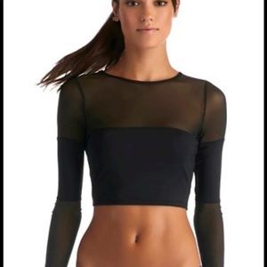 Vitamin A Rash Guard Cropped